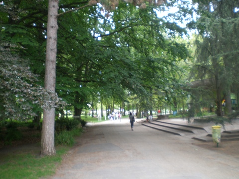 20110625-093145.jpg