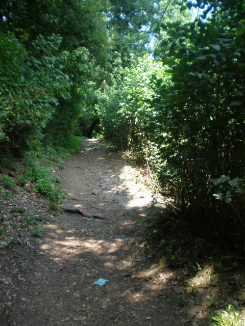 20110708-092441.jpg