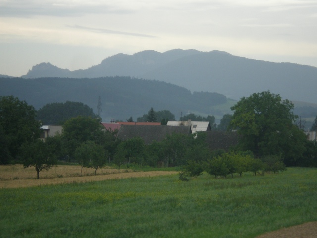 20110711-094724.jpg