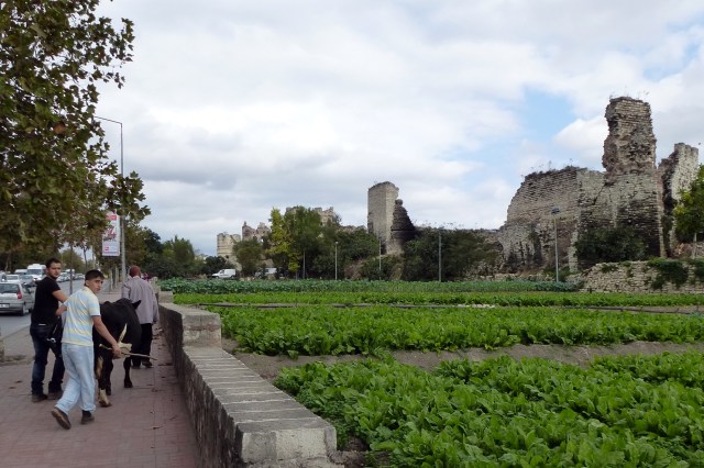 25.10.12 Istanbul-15 Eid Al Adha